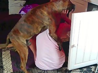 Woman and animal porn