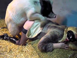 Girl creampied by pig