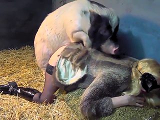 Girl creampied by pig