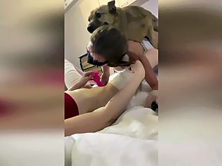 Dog fucks girl while she licks pussy of her girlfriend