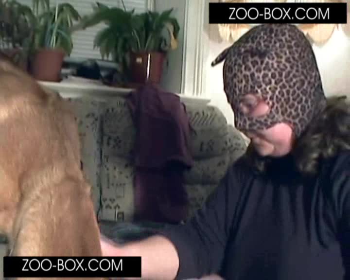 Porno animales BBW