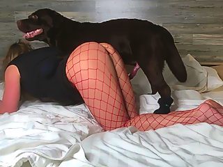 Animal porn with hottie in stocking and VERY horny dog