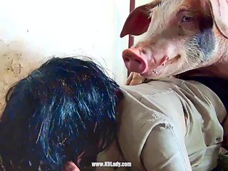 Pig and girl sex