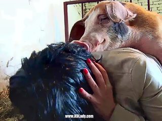 Pig and girl sex