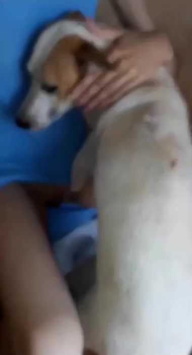 Amateur girl fuck with dog