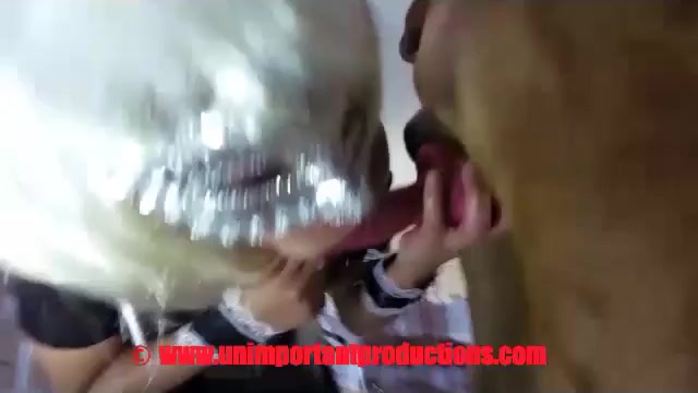 Compilation ebony animal porn with active dogs