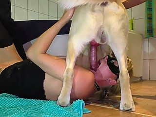 Animal with woman porn