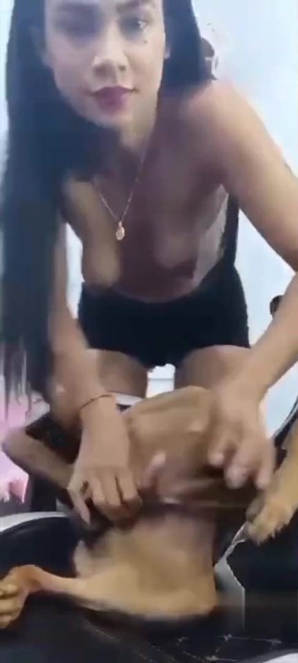 Dog fuck webcam