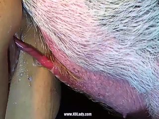 Pig girl sex