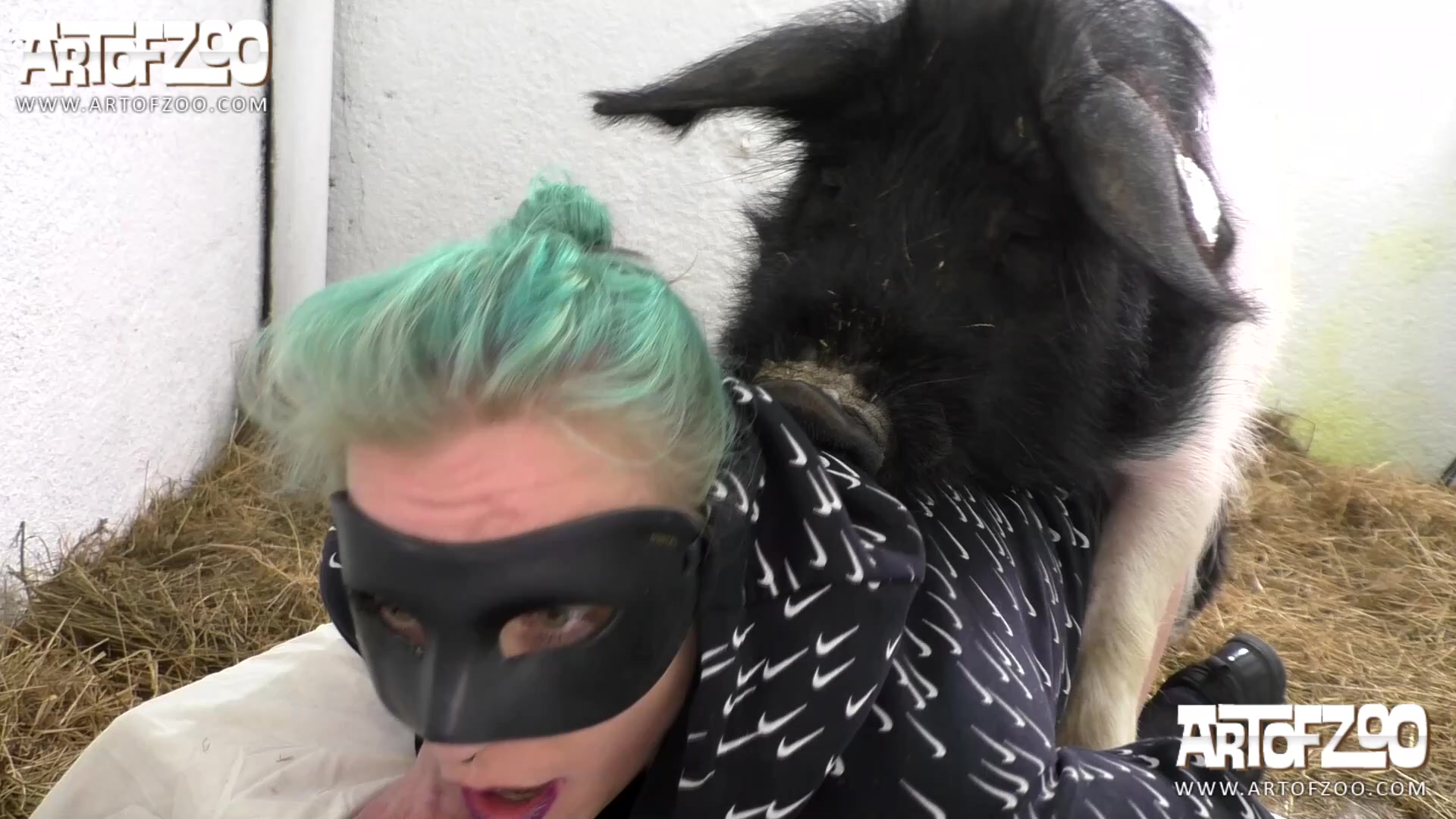 Dutch and pig in animal porn