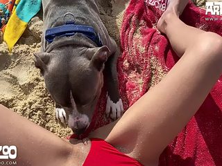 Couple sex with dog
