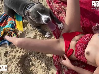 Couple sex with dog